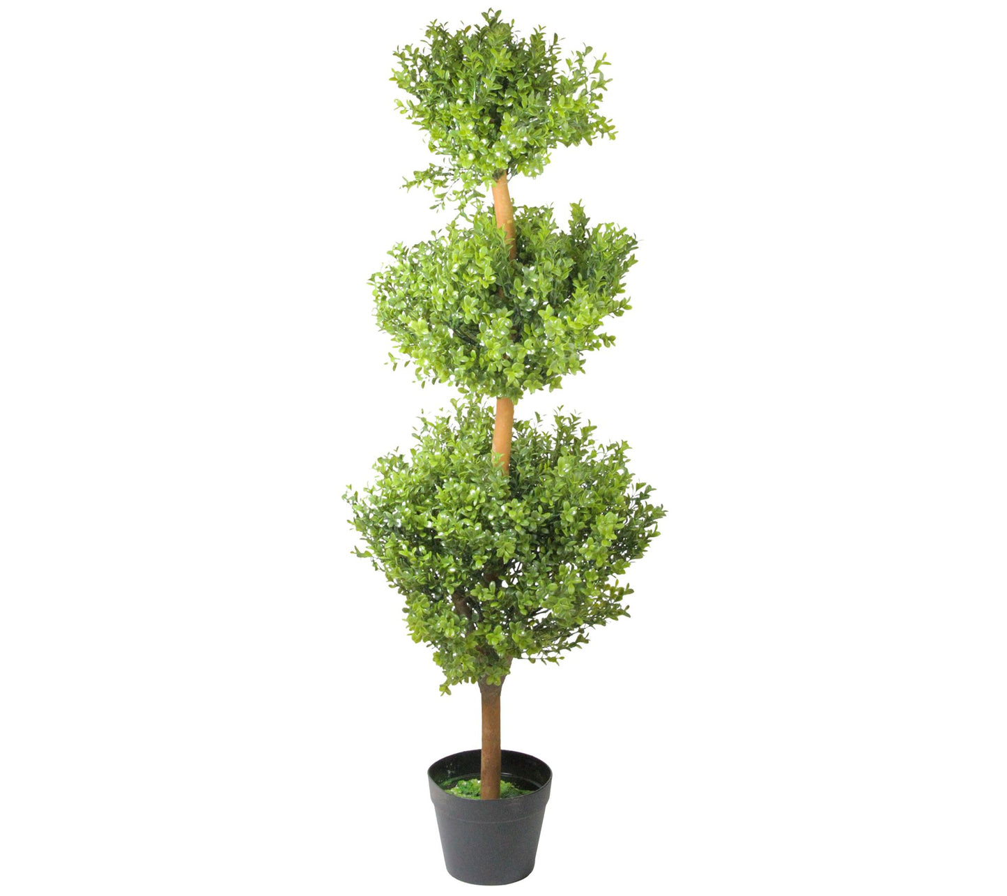 Northlight Potted Two-Tone Murraya Triple Ballopiary Tree