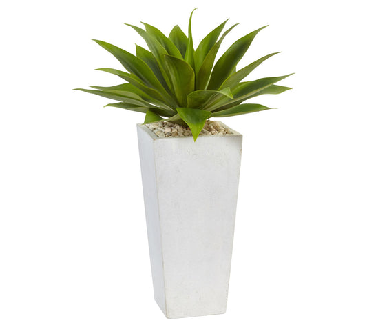 Agave in White Planter by Nearly Natural