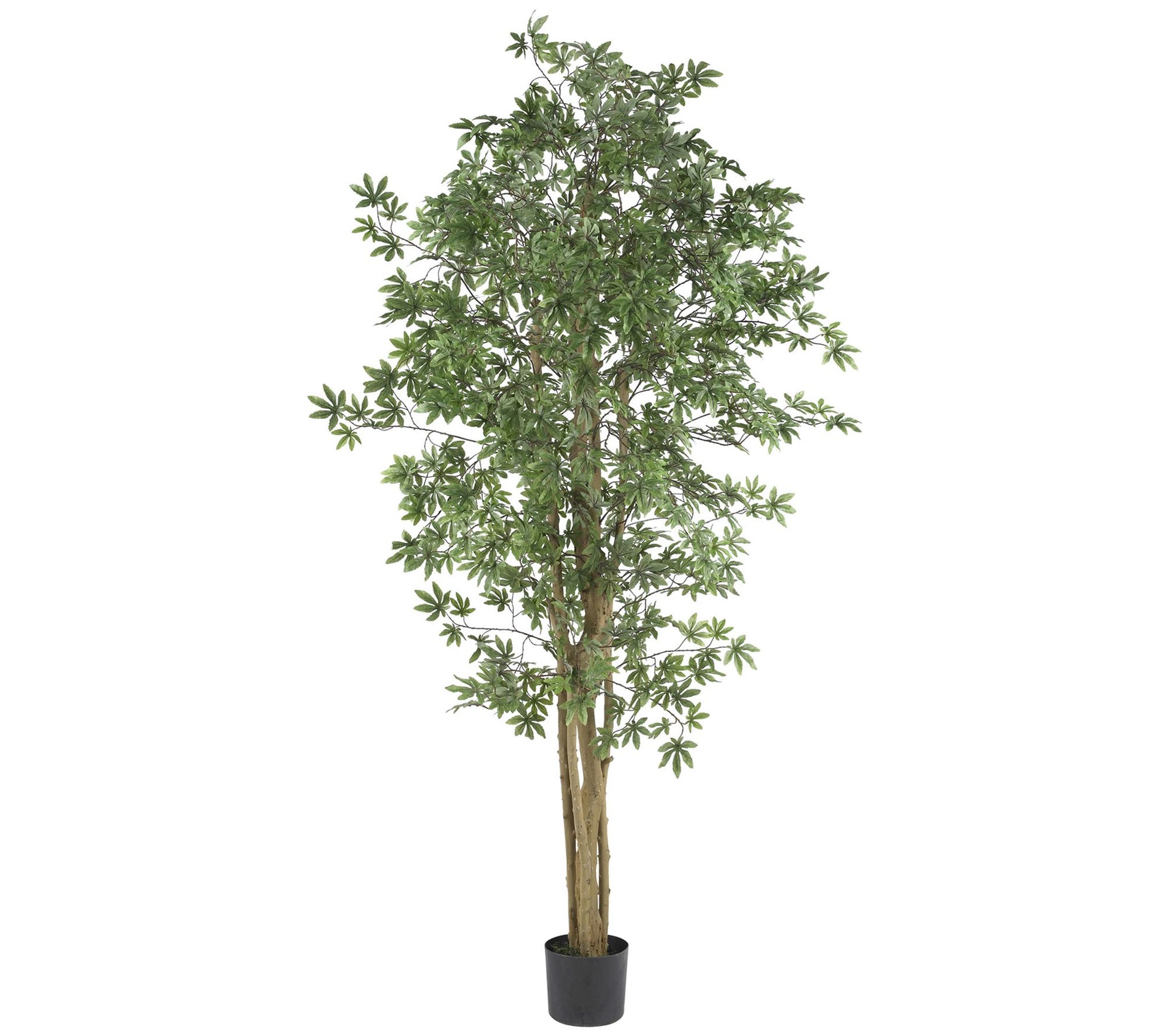 6' Japanese Maple Silk Tree by Nearly Natural