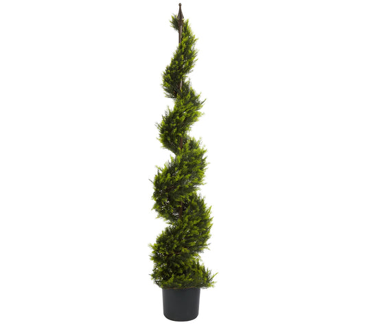 5' Cypress Spiral Tree by Nearly Natural