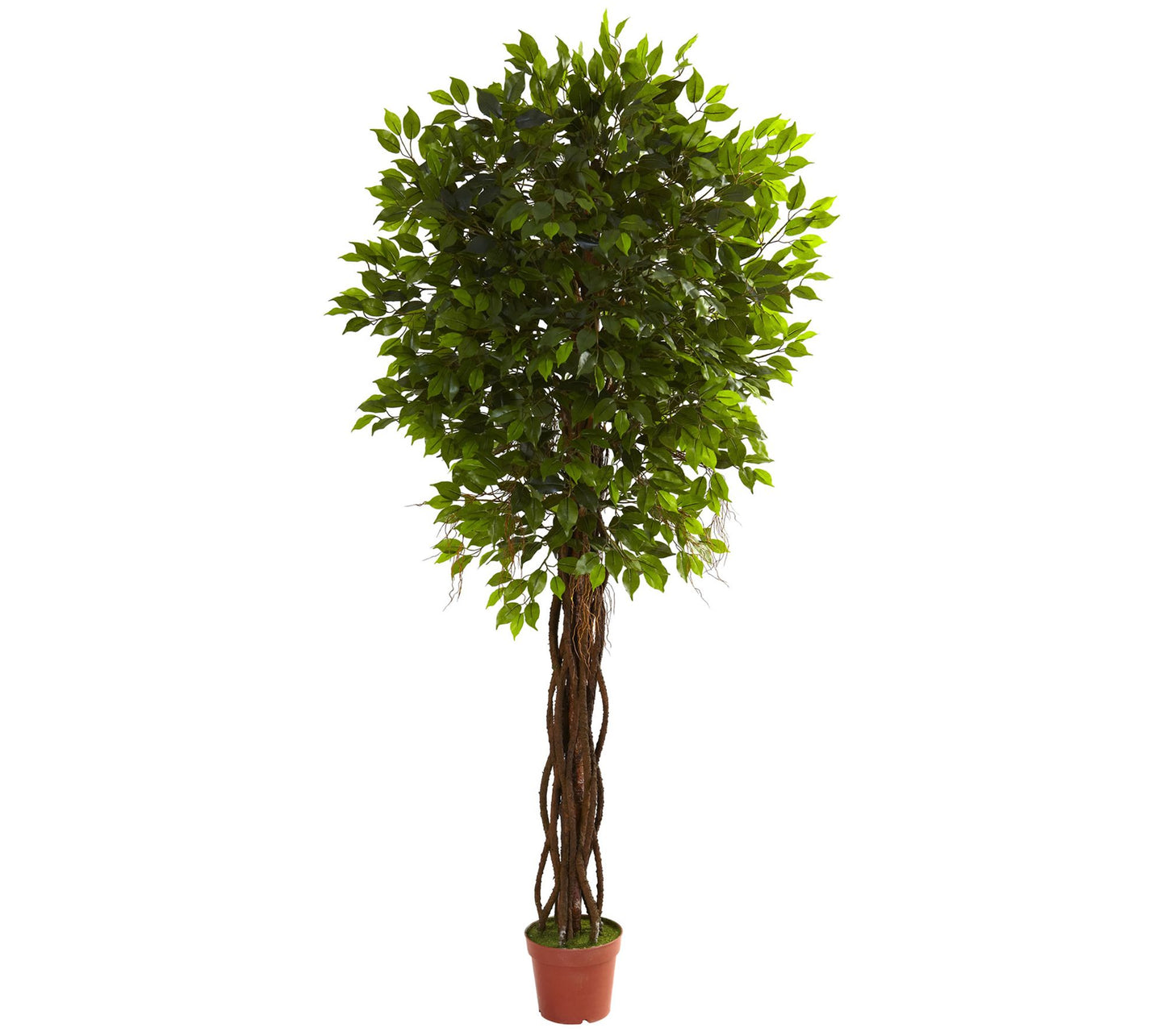7.5' Ficus Tree by Nearly Natural