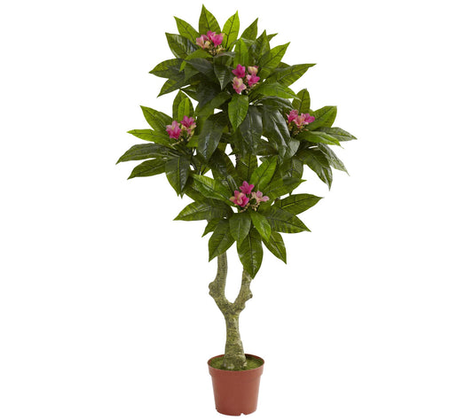 5' Plumeria Tree  by Nearly Natural