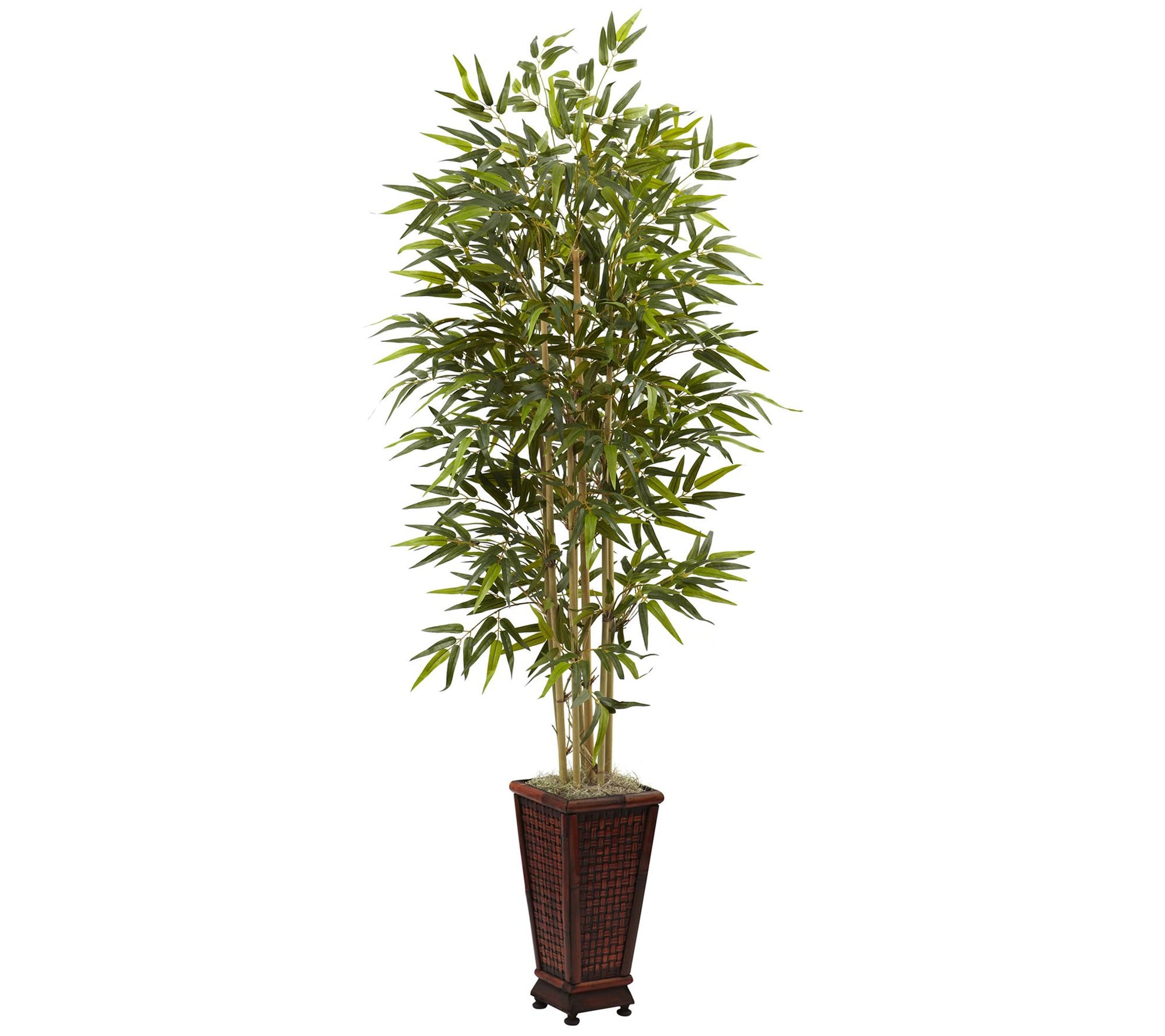 6' Bamboo Tree with Decorative Planter by Nearly Natural