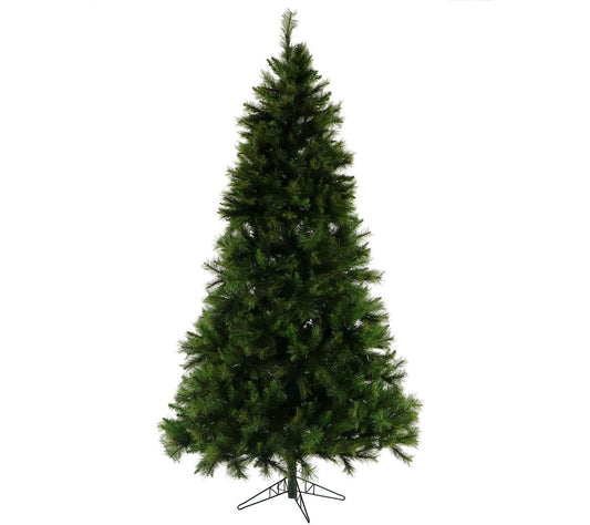 Fraser Hill Farm 6.5' Canyon Pine Christmas Tree