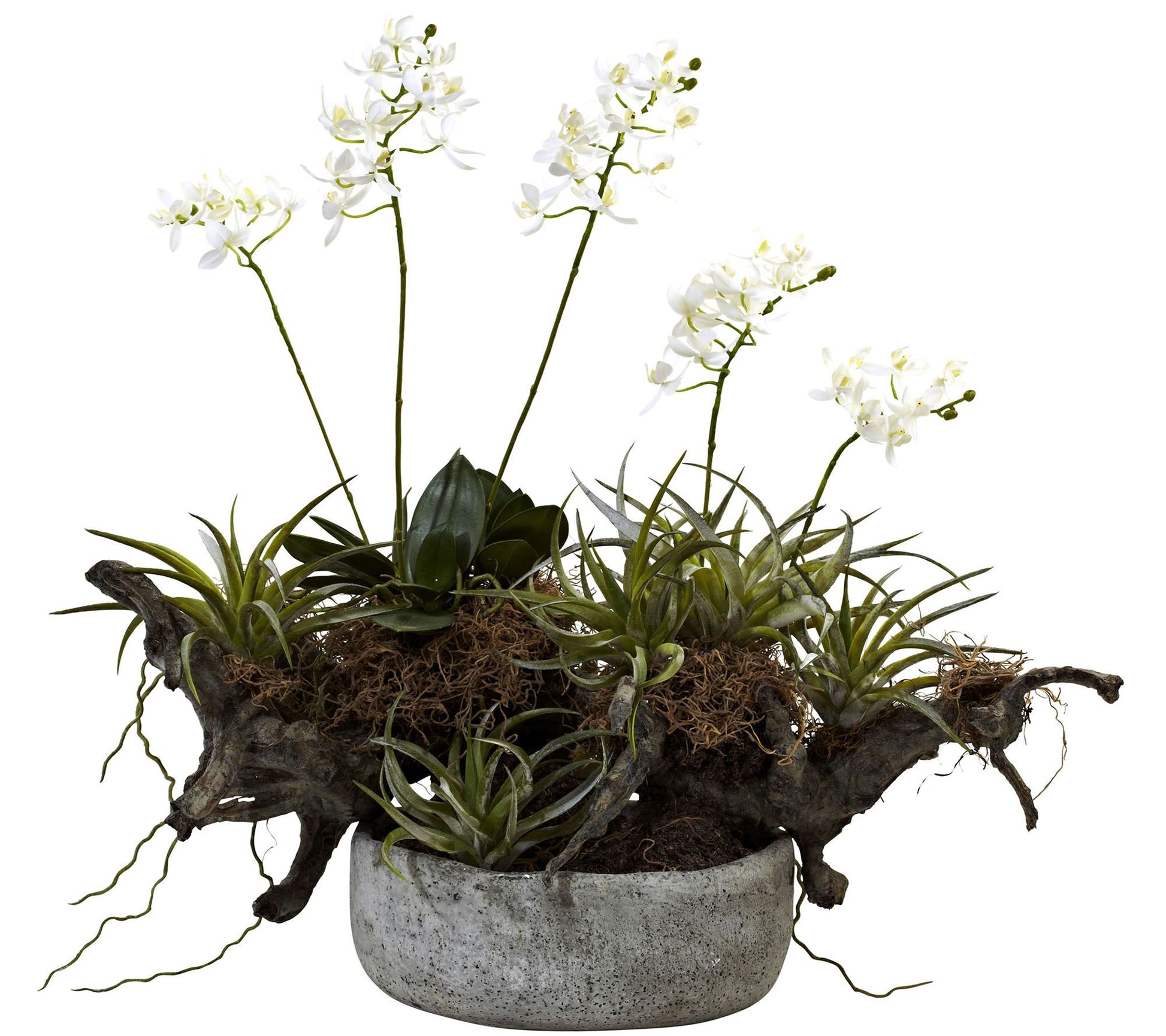 Orchid & Succulent Garden with Vase by Nearly Natural