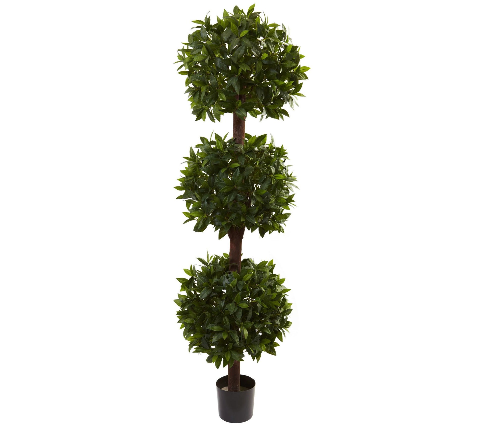 6.5' Sweet Bay Triple Ball Topiary by Nearly Natural