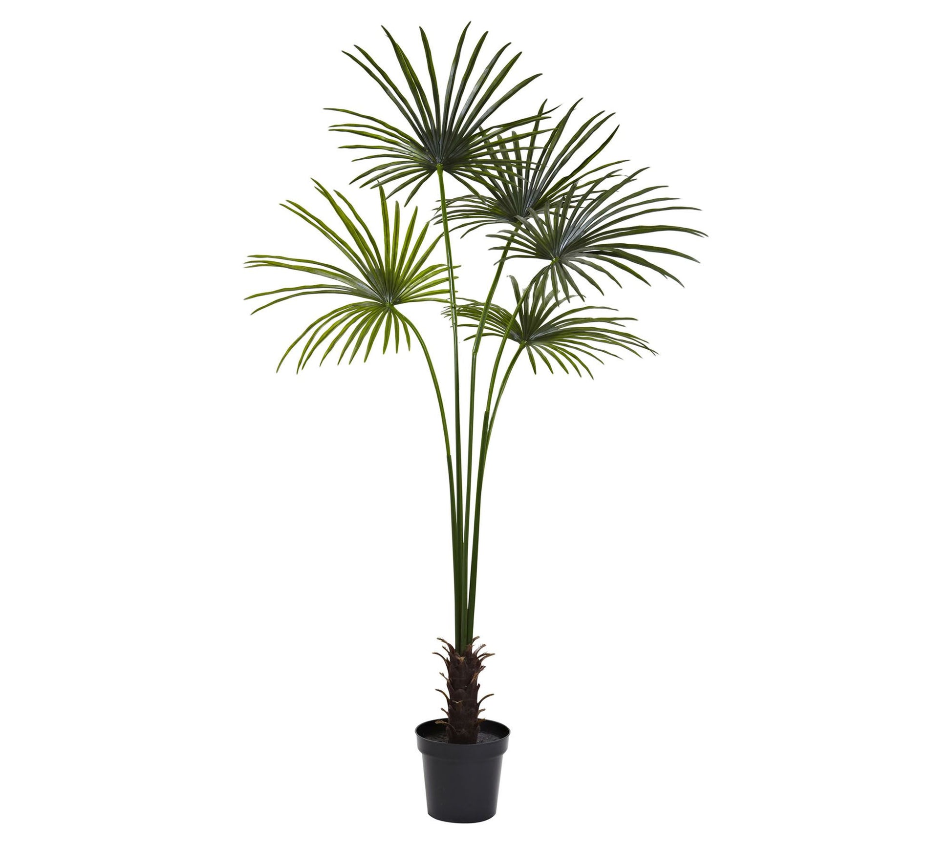 7' Fan Palm Tree by Nearly Natural