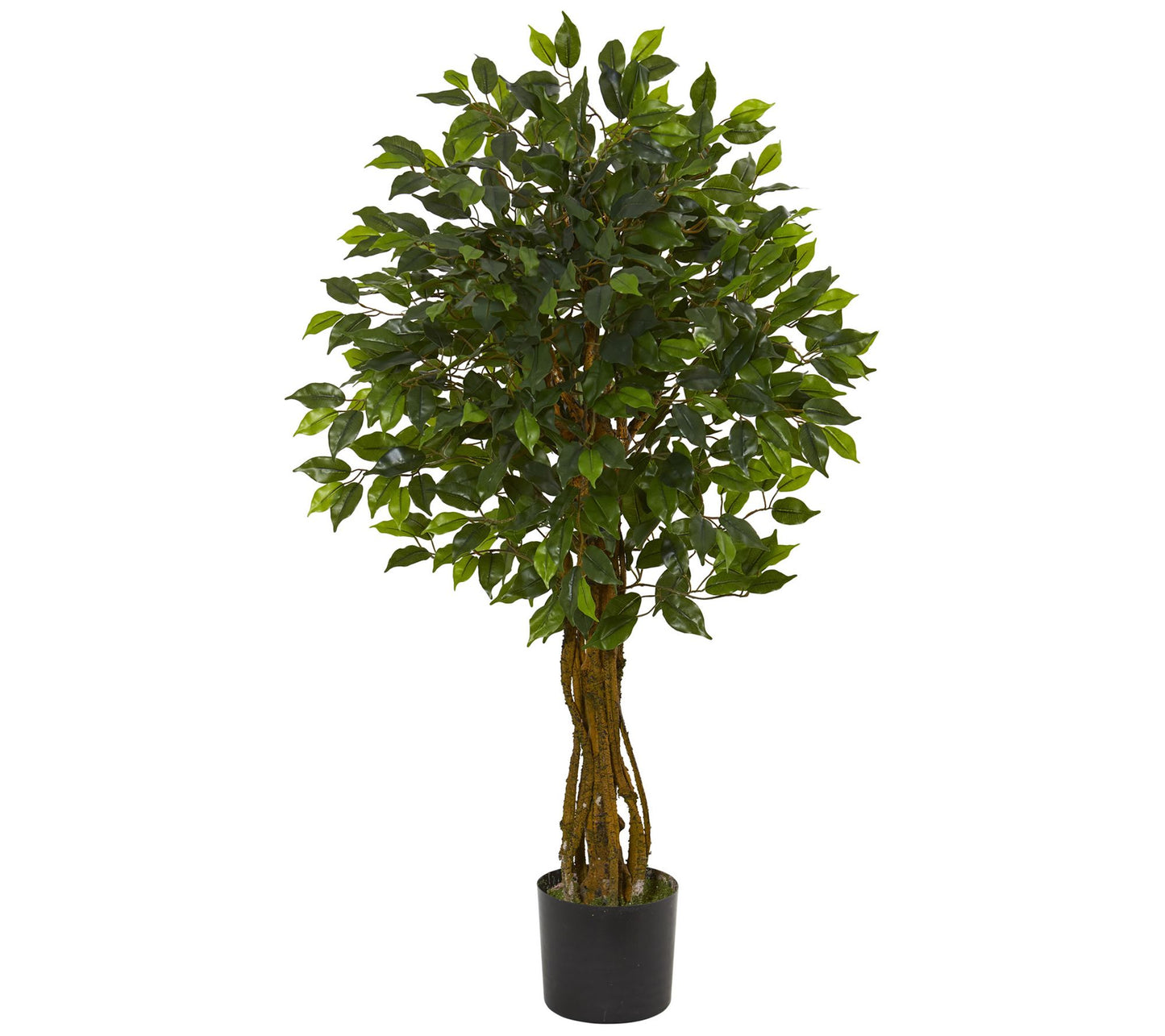 Ficus Artificial Tree by Nearly Natural