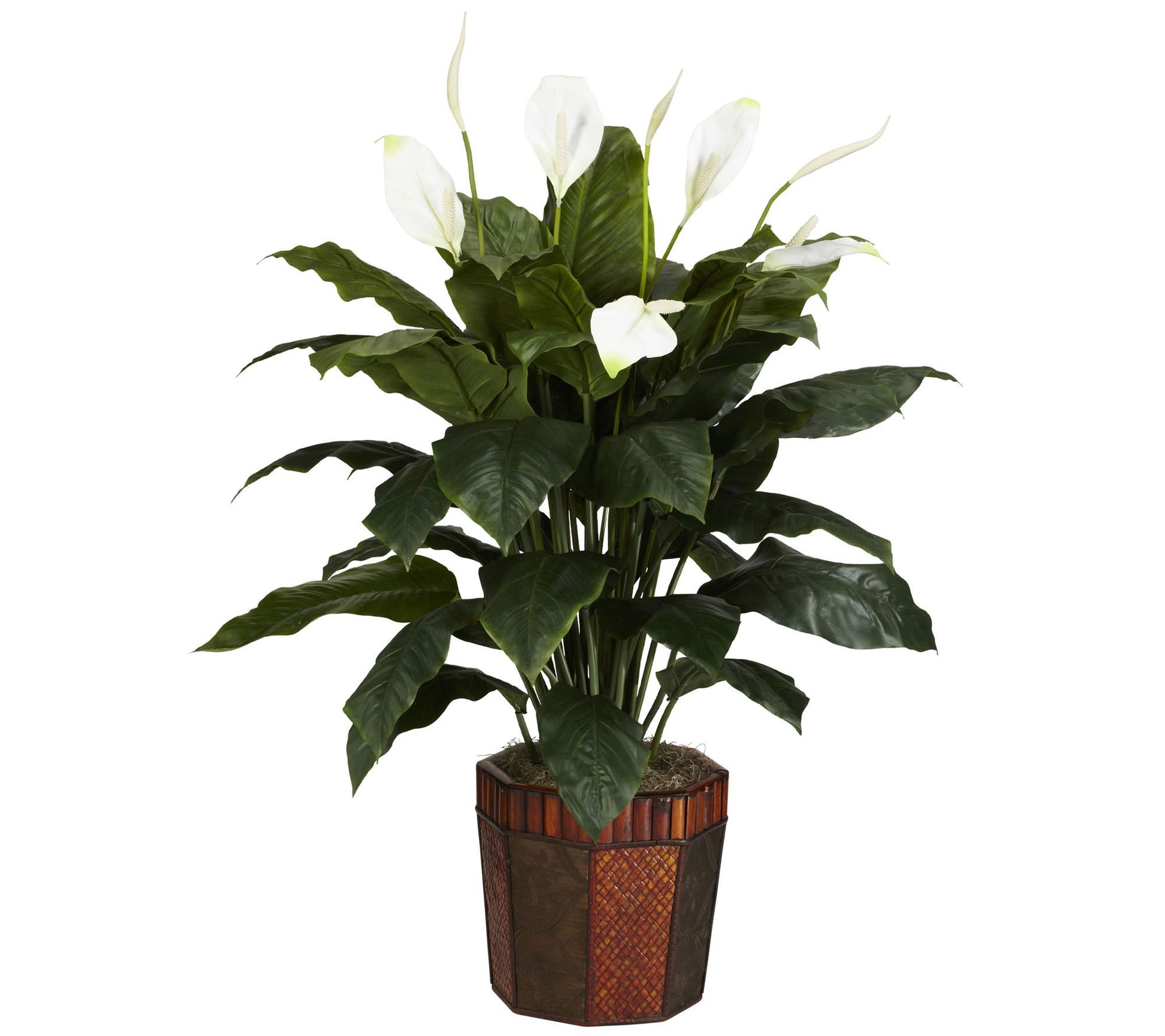 Spathyfillum with Base Silk Plant by Nearly Natural