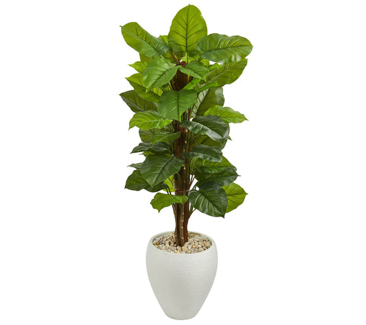 5' Large Leaf Philodendron in Planter by Nearly Natural