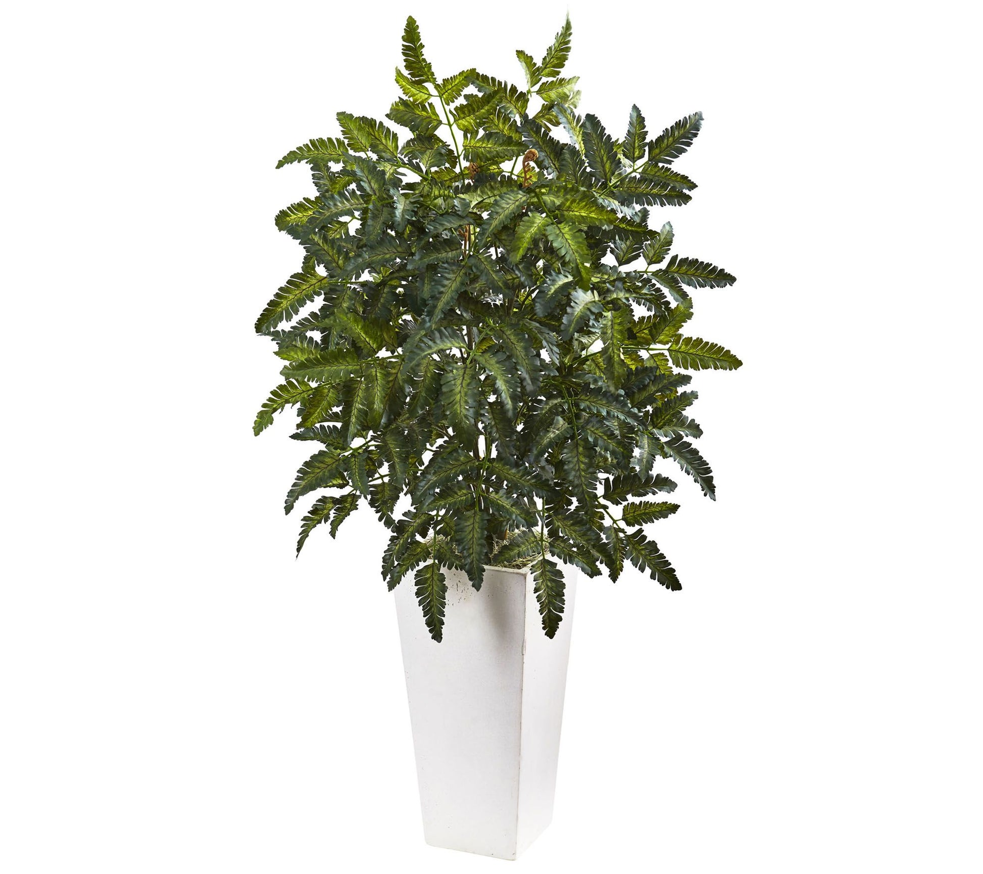 Bracken Fern with White Planter by Nearly Natural