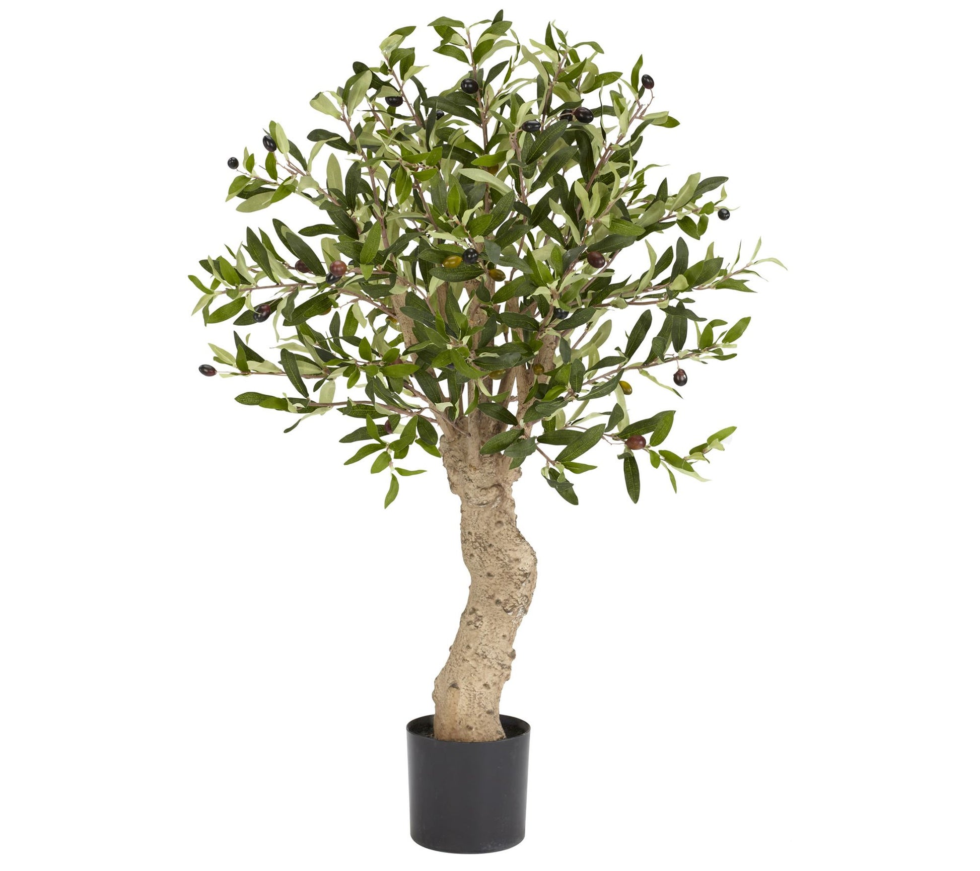 2.5' Olive Tree by Nearly Natural