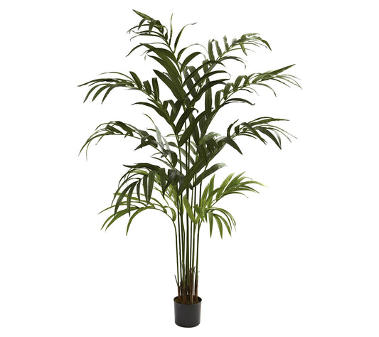 6' Kentia Artificial Tree by Nearly Natural