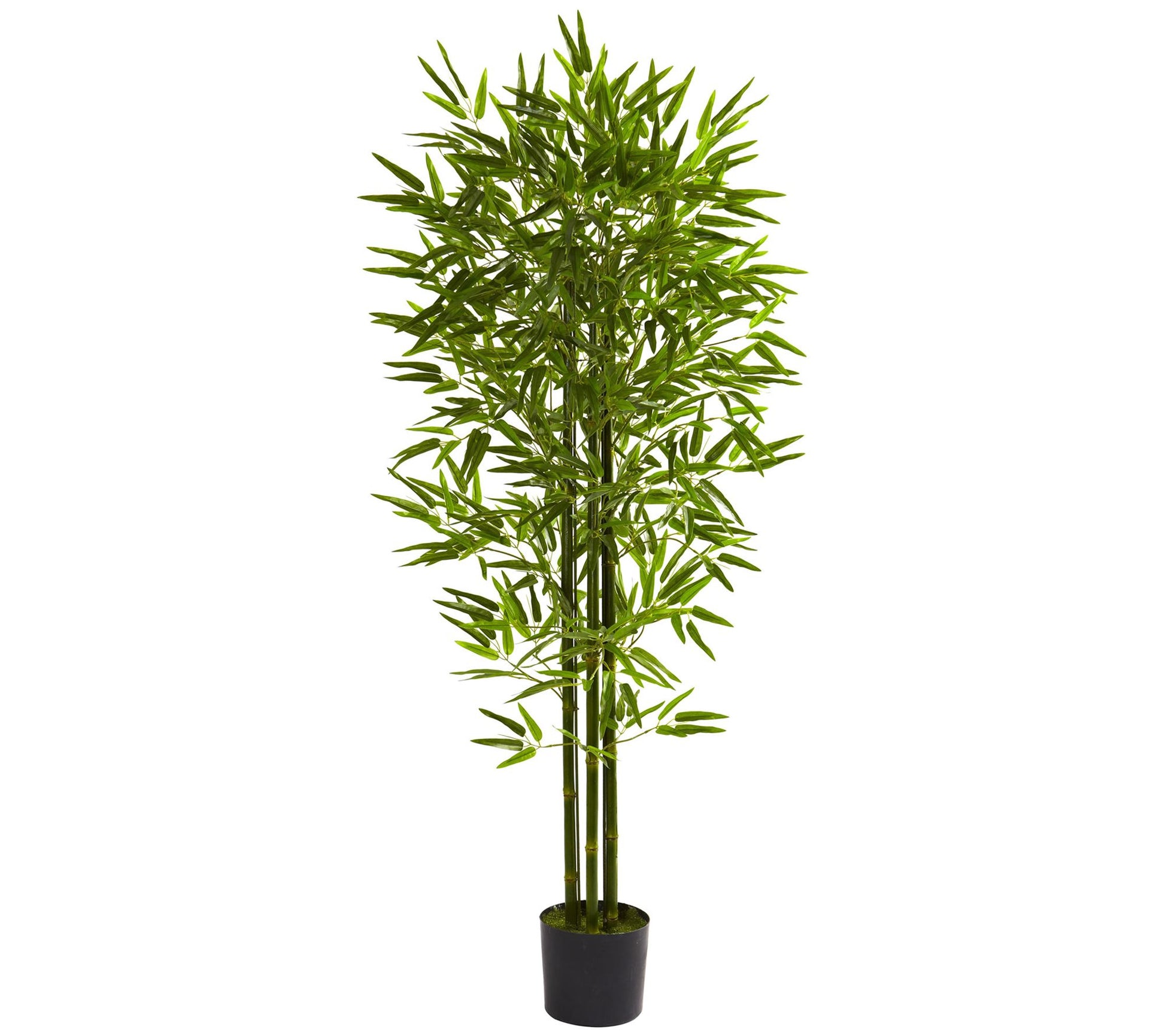 5' Bamboo Tree by Nearly Natural