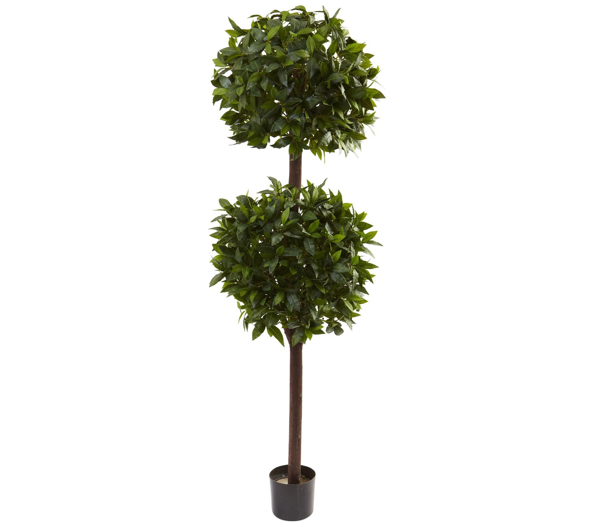 6' Sweet Bay Double-Ball Topiary by Nearly Natural