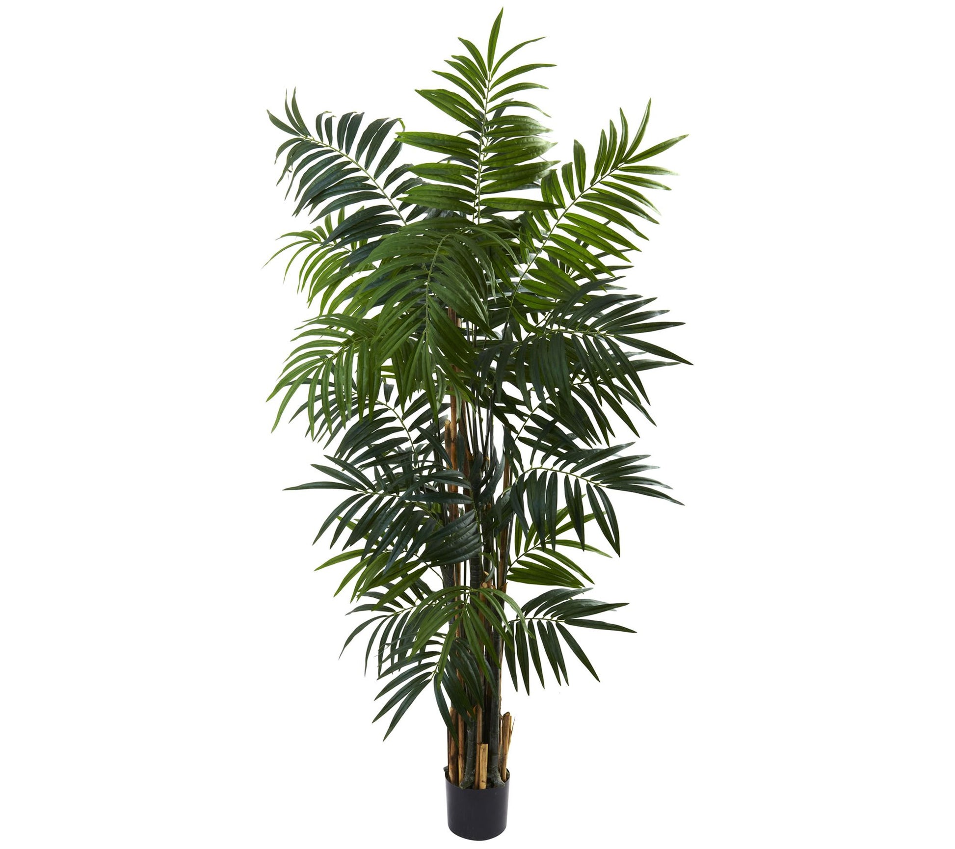 6' Bulb Areca Palm Tree by Nearly Natural