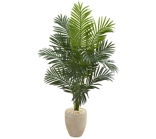 5.5' Paradise Palm Tree in Planter by Nearly Natural