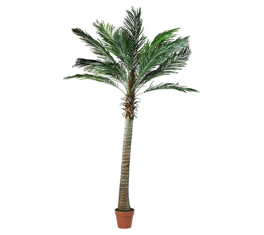 Northlight 6' Potted Artificial Phoenix Palm Tree