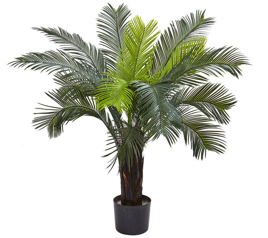3' Cycas Tree with 15 Leaves by Nearly Natural