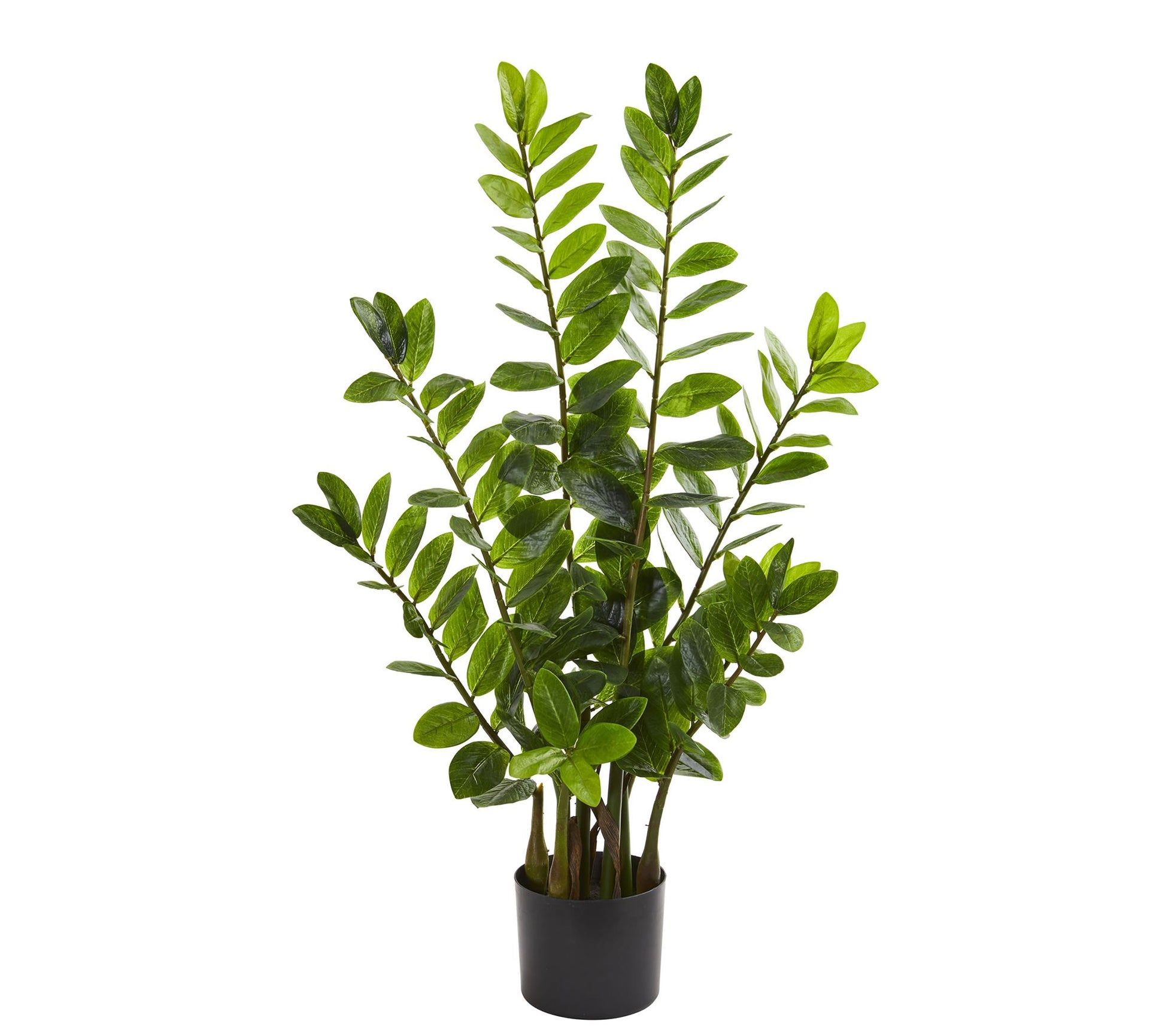 3' Zamioculcas Artificial Plant by Nearly Natural