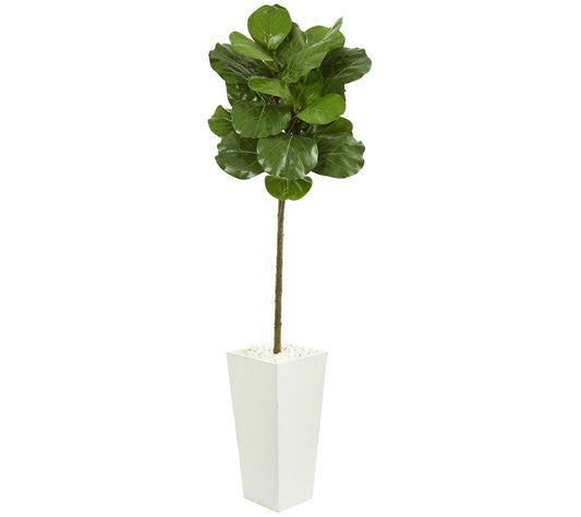 5.5' Fiddle Leaf Tree in Tower Planter by Nearly Natural