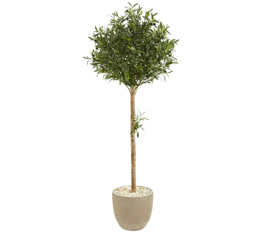 5' Olive Topiary in Sand Stone Planter by Nearly Natural