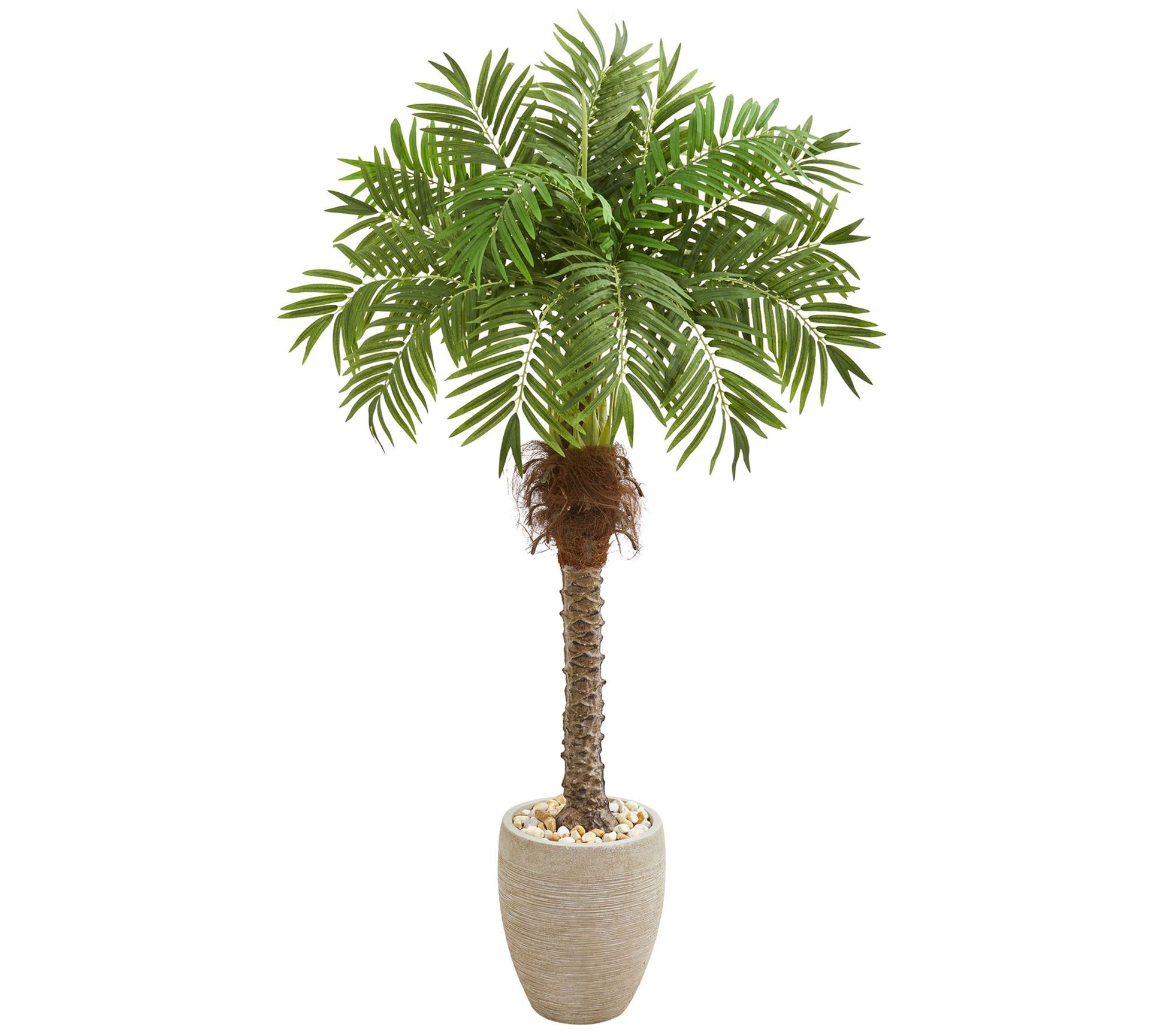 63" Robellini Palm Tree in Planter by Nearly Natural