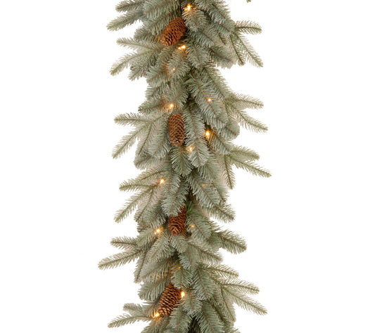 9 ft. Frosted Arctic Spruce Garland with ClearLights