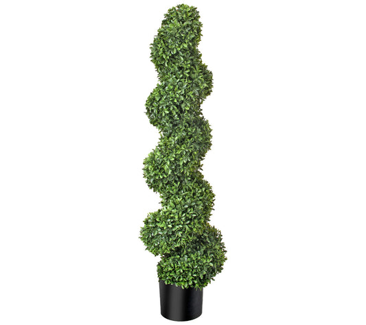 American Boxwood Spiral Topiary by Valerie