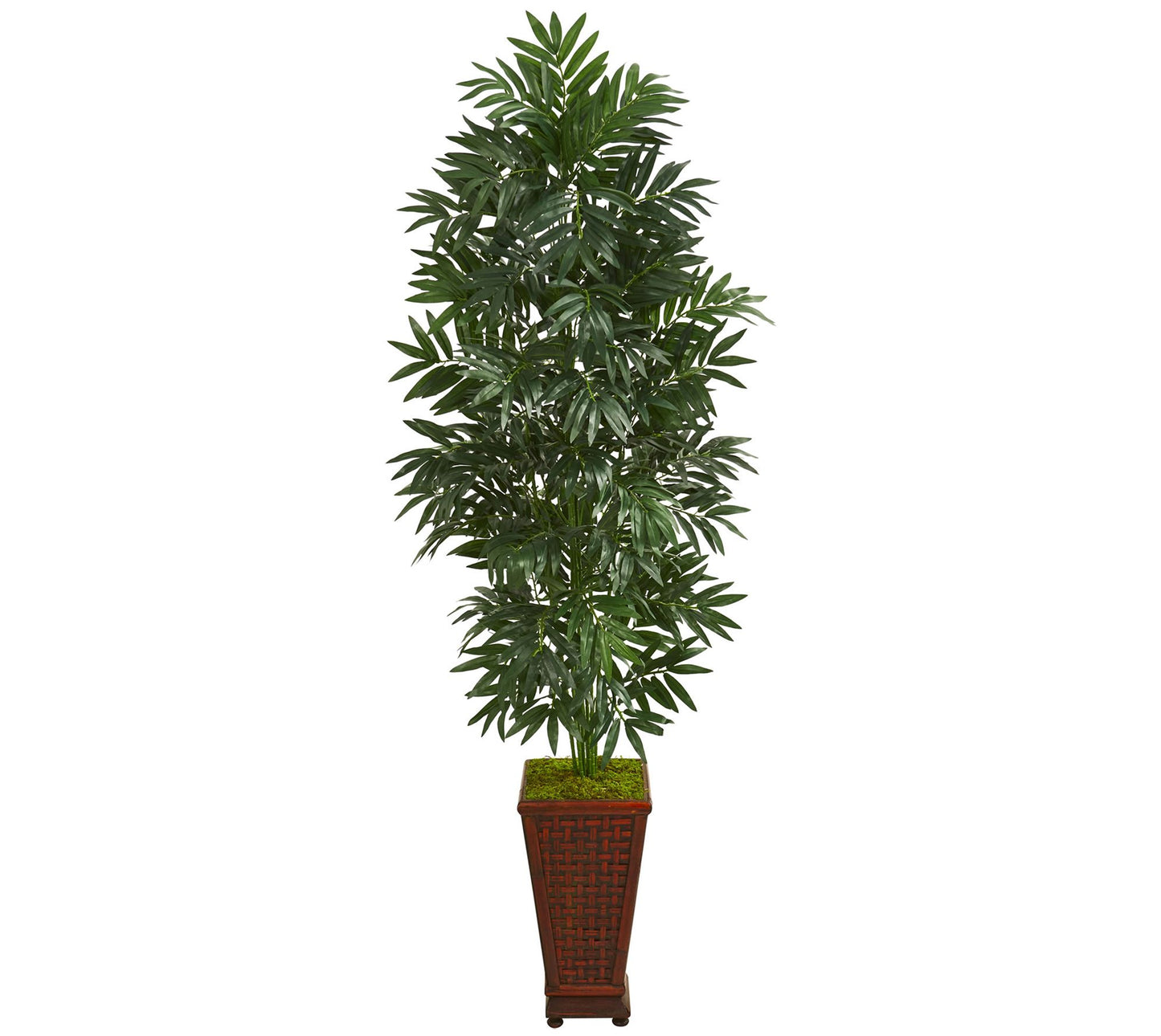 Bamboo Palm Plant in Decorative Planter by Nearly Natural