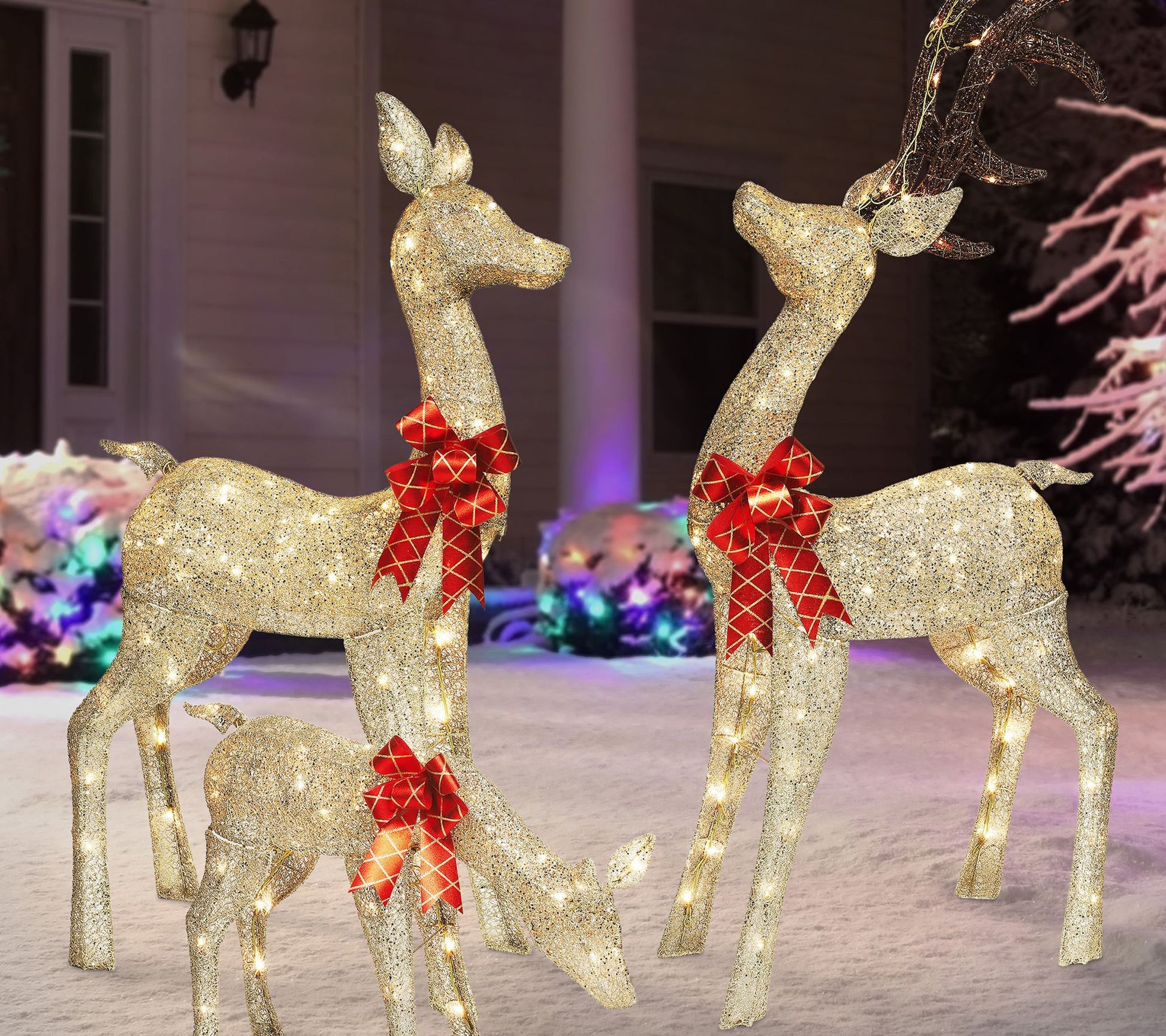 Set of 3 Deer Family with Warm White LED Lights