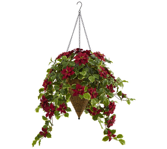 3.5' Poinsettia and Variegated Holly  in Hanging Basket