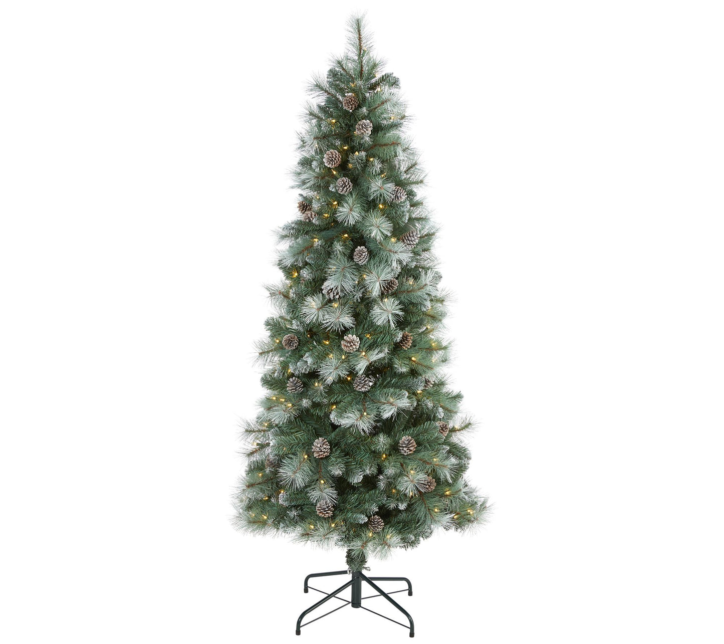6' Lit Frosted Mountain Pine Christmas Tree byearly Natural