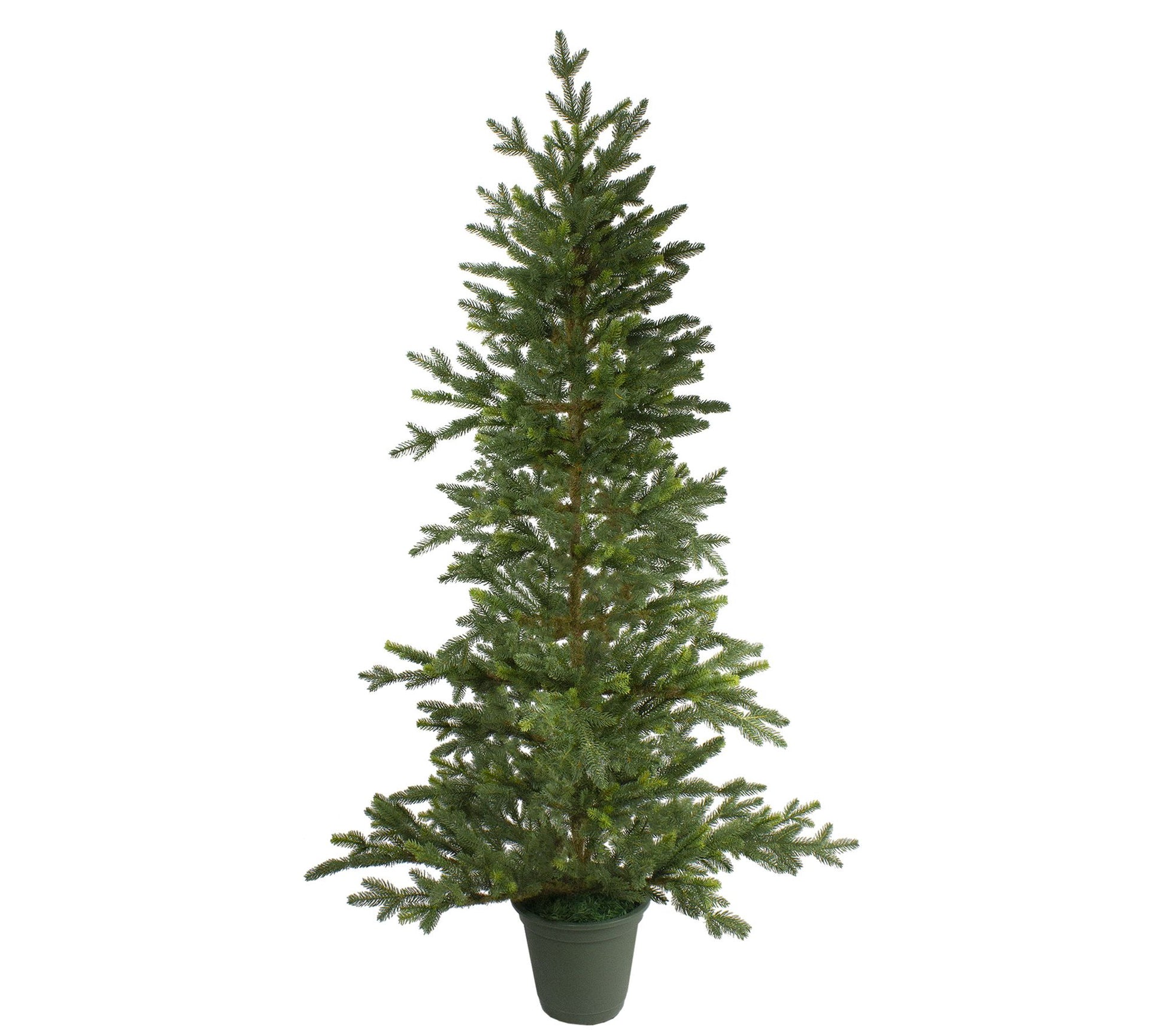 Northlight 6' Potted Noble Pine Slim Faux Christmas Tree