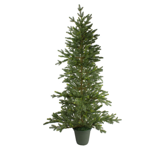 Northlight 6' Potted Noble Pine Slim Faux Christmas Tree
