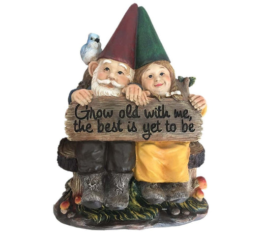 SWI 11" Grow old with me gnomes