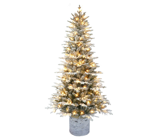 Puleo 6' Prelit Potted Flocked Arctic Fir Tree