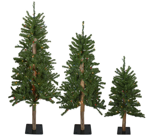 Northlight Set of 3 Prelit Slim Alpine Christmas Trees
