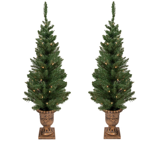 Northlight S/2 Pre-Lit Potted Pine Topiary Slim Trees 4'