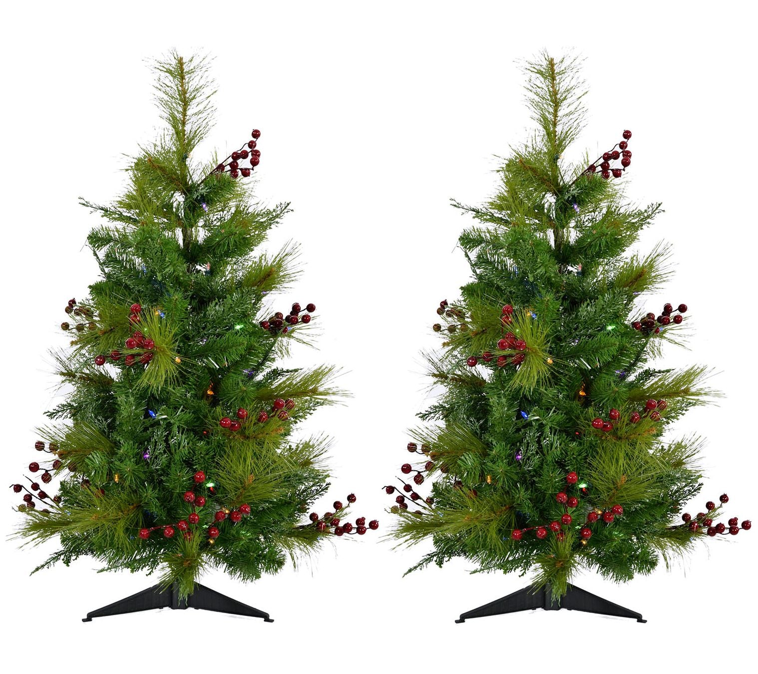Fraser Hill Farm Set of Two 4-Ft. Newberry Pine Artificial Tre
