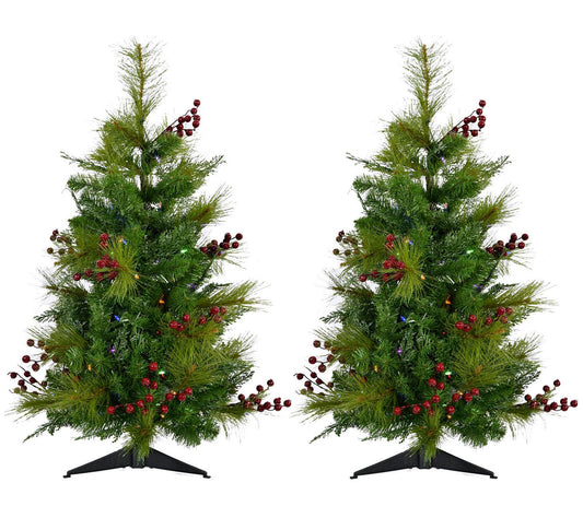 Fraser Hill Farm Set of Two 4-Ft. Newberry Pine Artificial Tre