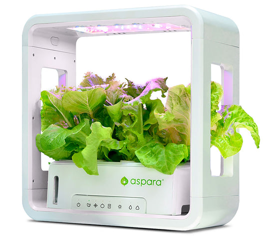 aspara Stylist Lite Smart Indoor HydroponicGrower