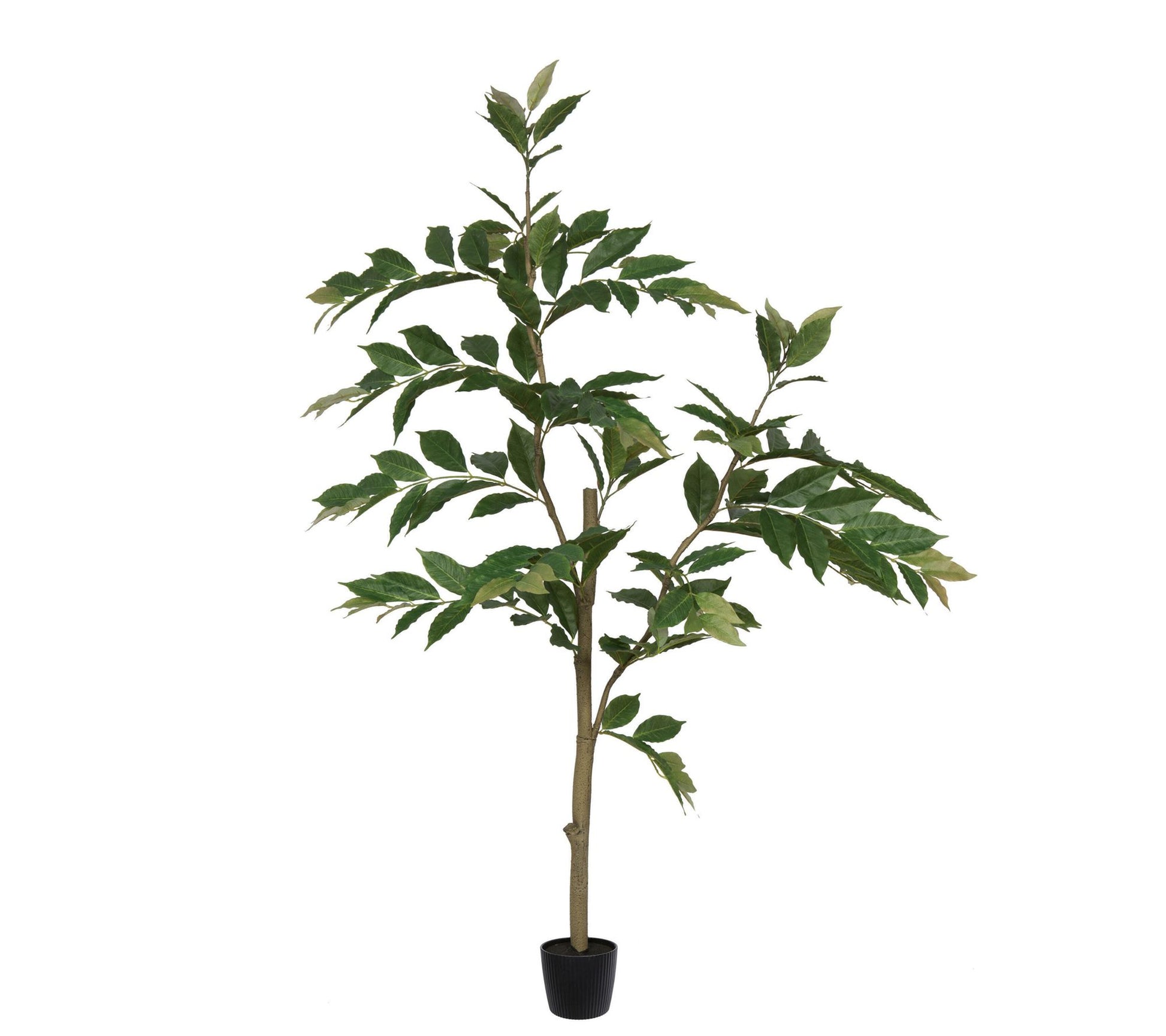 Vickerman 5' Potted Artificial Green Nandina Tree
