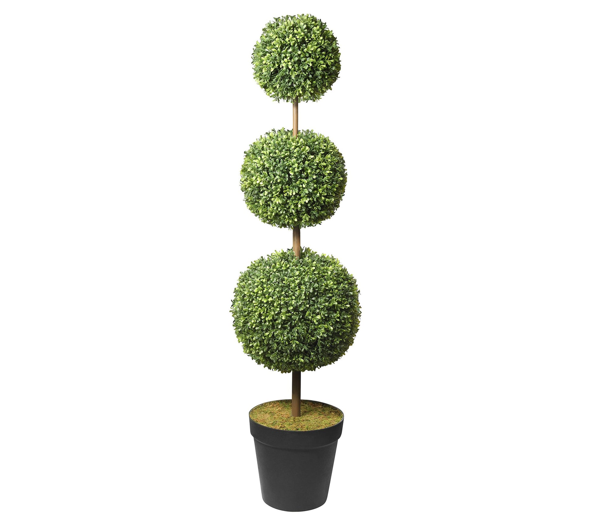 Haute Decor Triple Ball Boxwood Topiary Adjustable to 64"