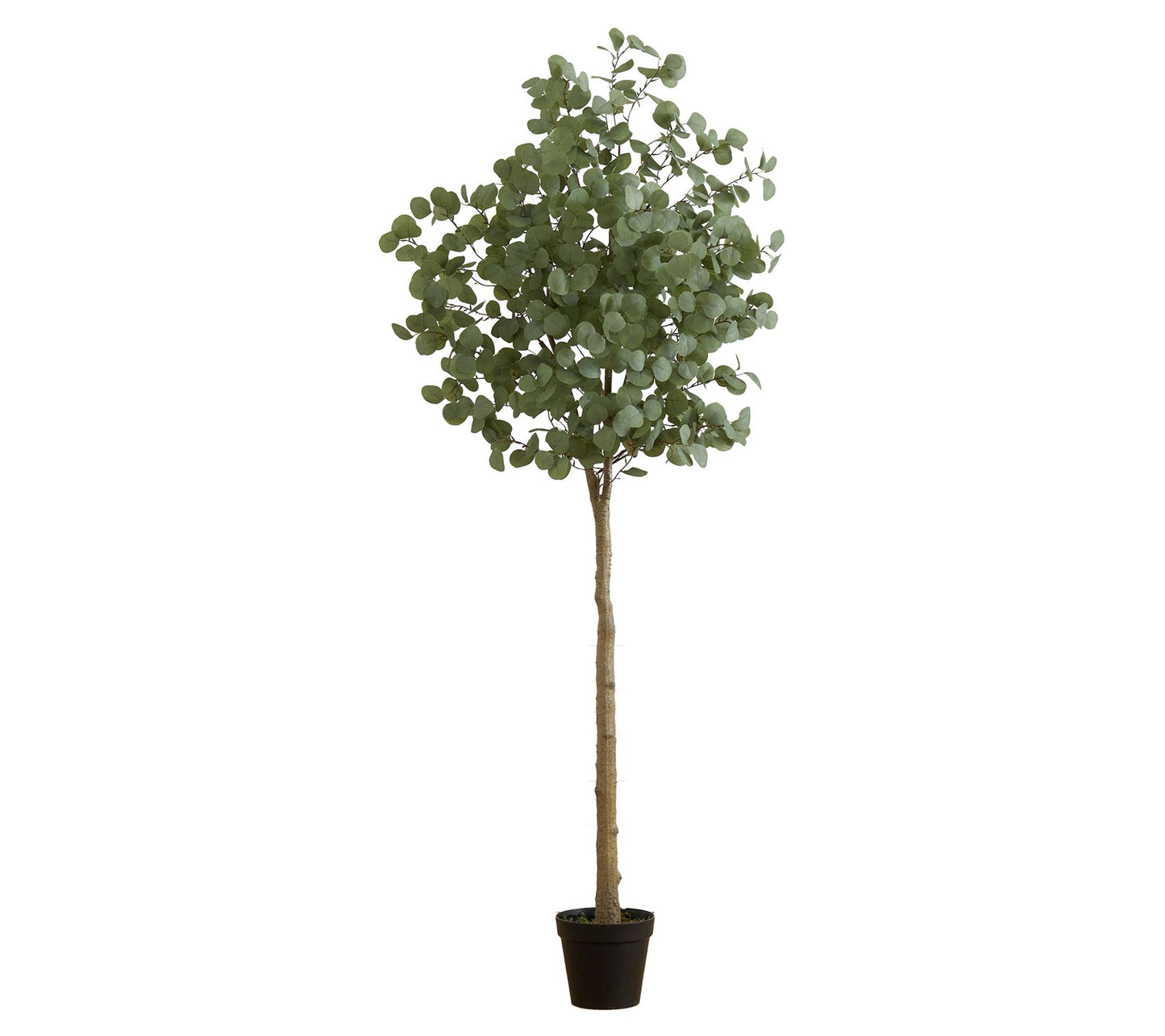 Nearly Natural 7-ft Artificial Eucalyptus Tree