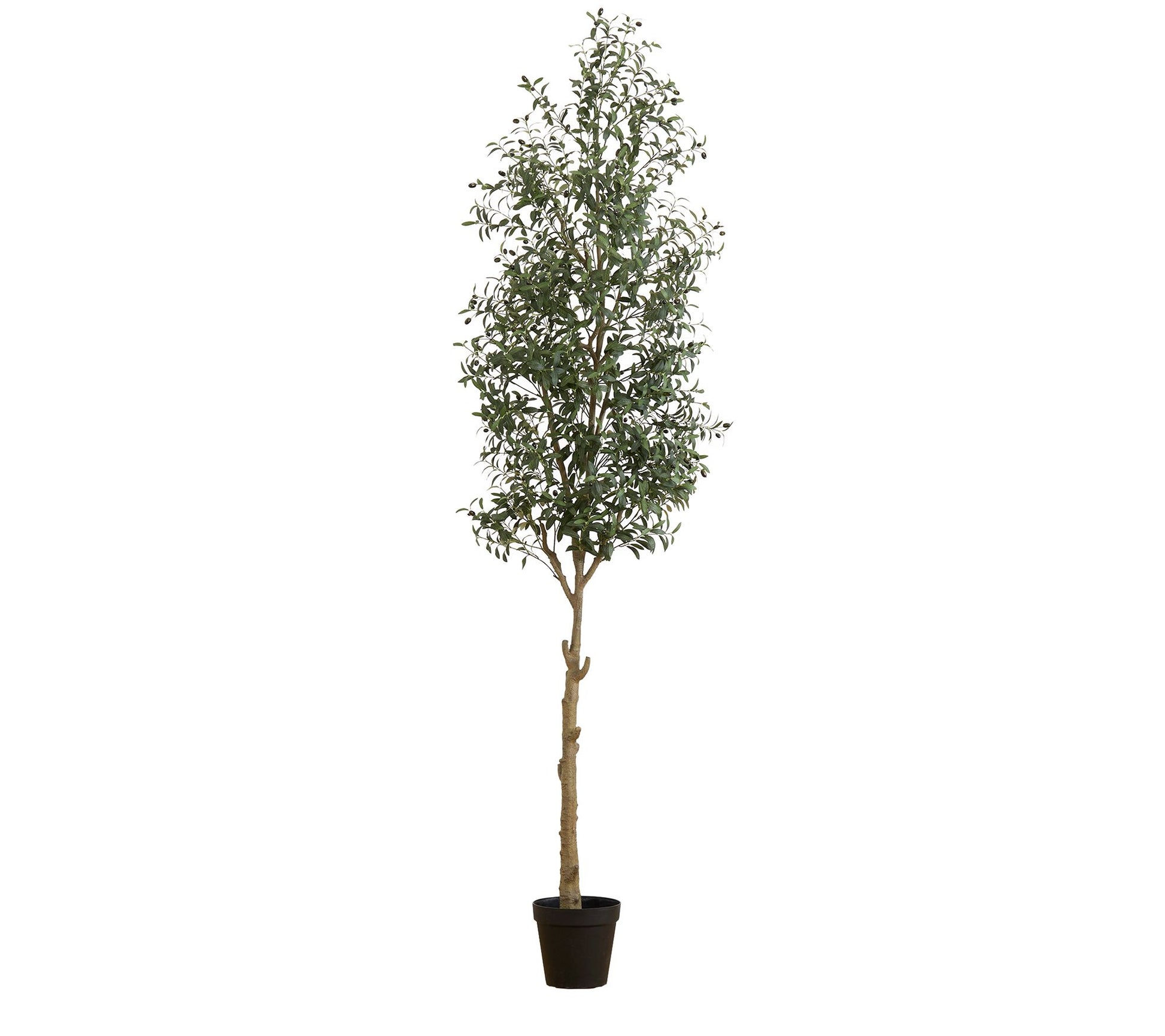 Nearly Natural 10-ft Artificial Olive Tree