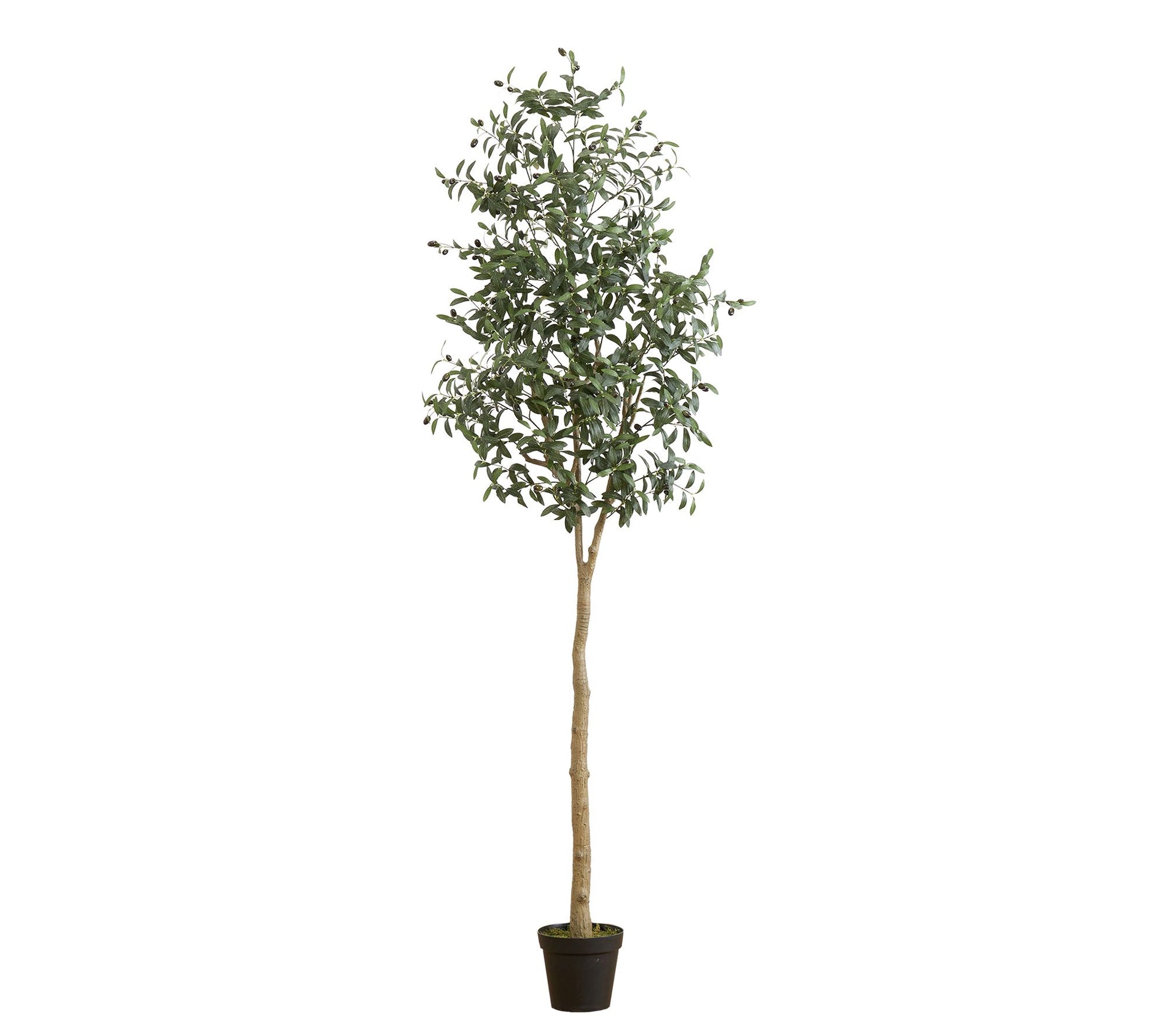 Nearly Natural 8-ft Artificial Olive Tree