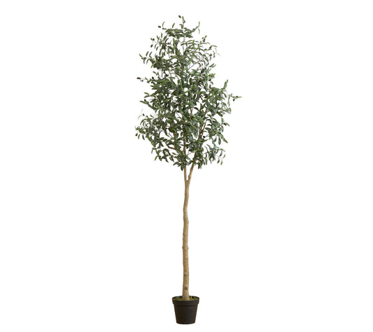 Nearly Natural 8-ft Artificial Olive Tree