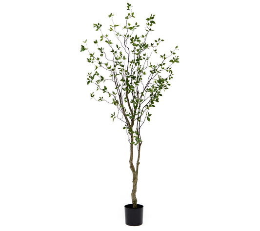 Nearly Natural 8' Minimalist Citrus Artificialree