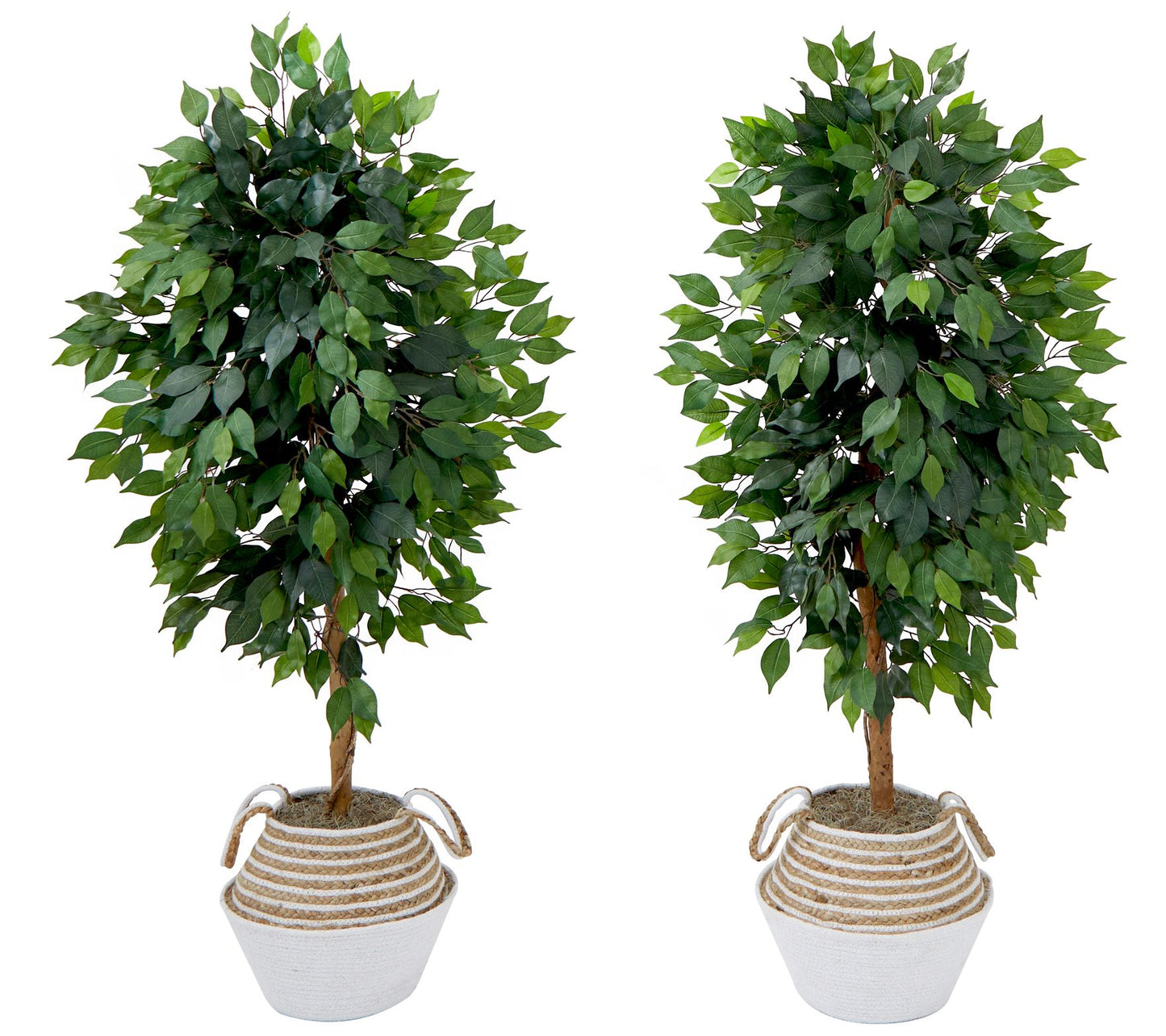 Nearly Natural S/(2) 4.5' Ficus Tree w/ Doublerunk DIY KIT